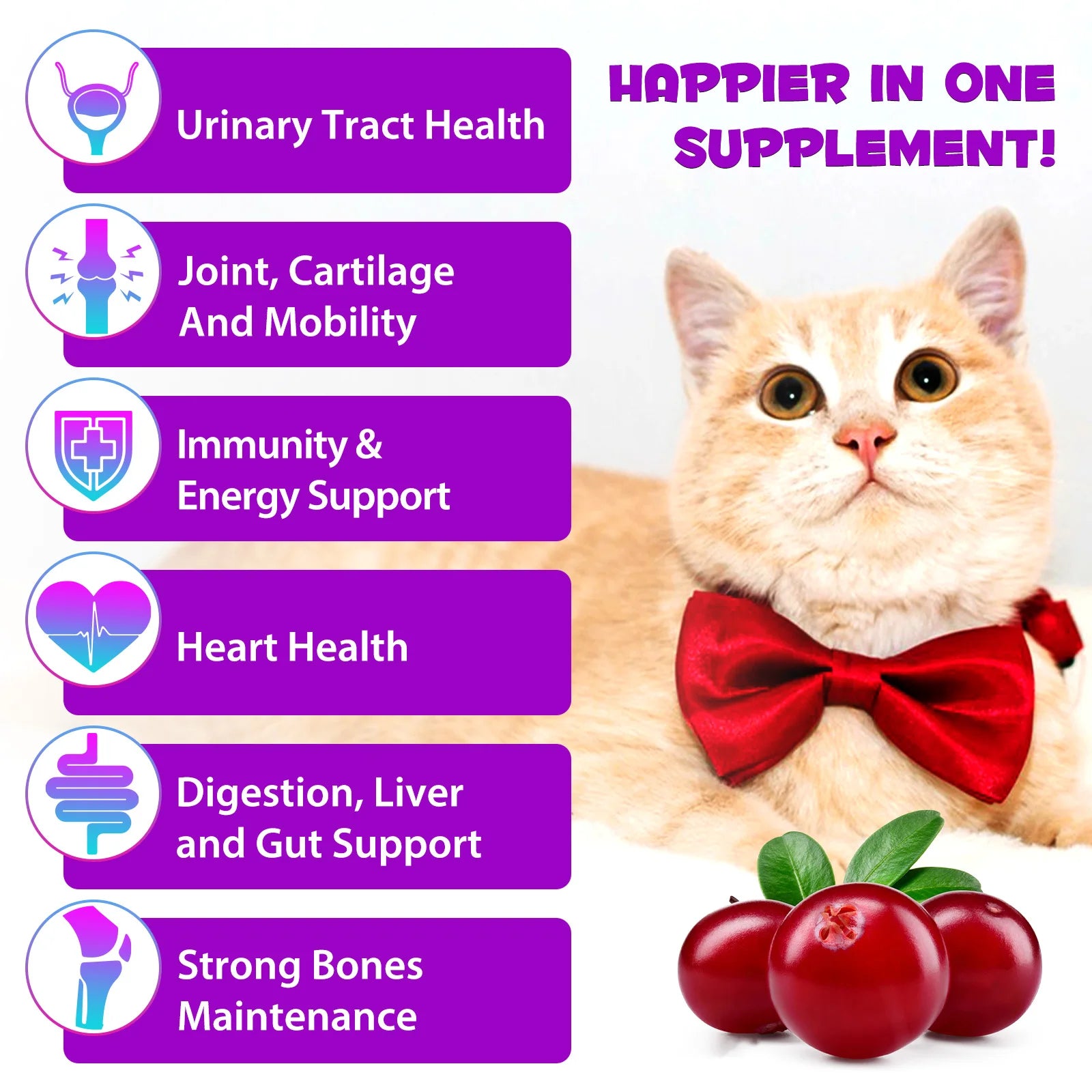 15-in-1 cat vitamins with herbal ingredients for pet health, supporting immunity, joints, and digestion.