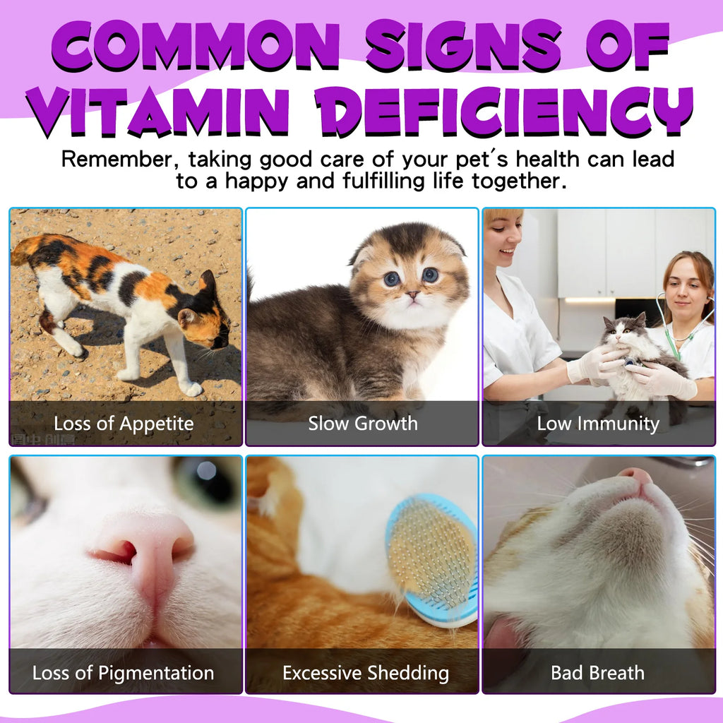 Common signs of vitamin deficiency in pets including loss of appetite, slow growth, and low immunity.