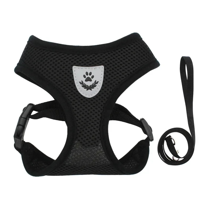 Adjustable summer cat dog harness with breathable mesh fabric and accompanying leash for small pets.