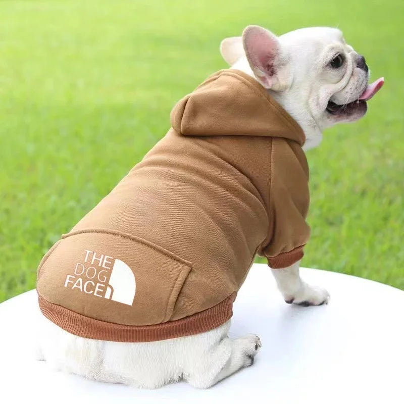 Cute French Bulldog in a brown hoodie, showcasing a warm and fashionable pet coat for dogs.