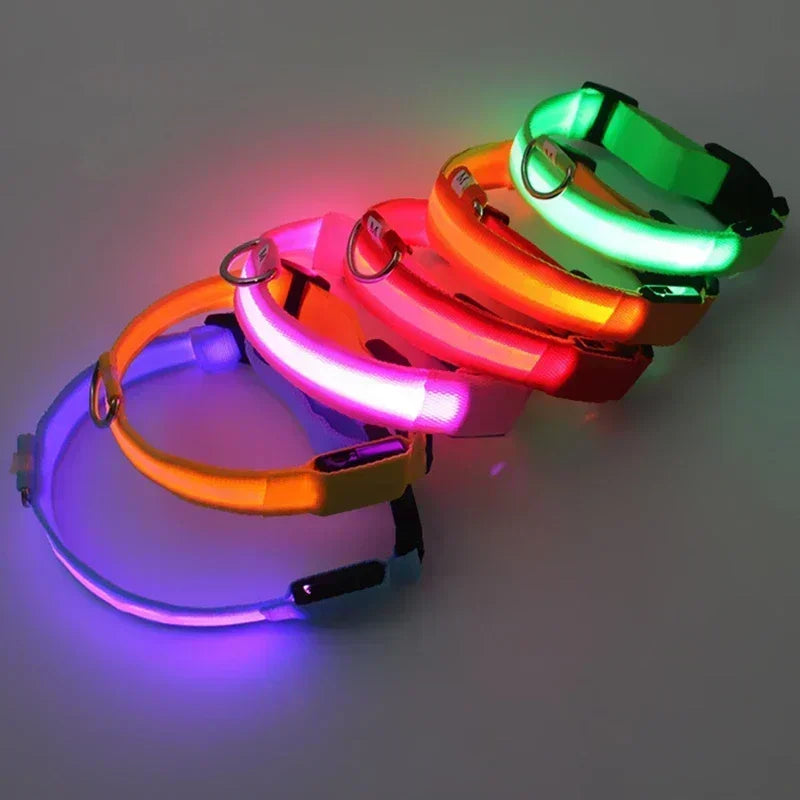Dog Collar With LED Glowing Adjustable Flashing Rechargea Luminous Collar Night Anti-Lost Dog Light Harness for Small Dog