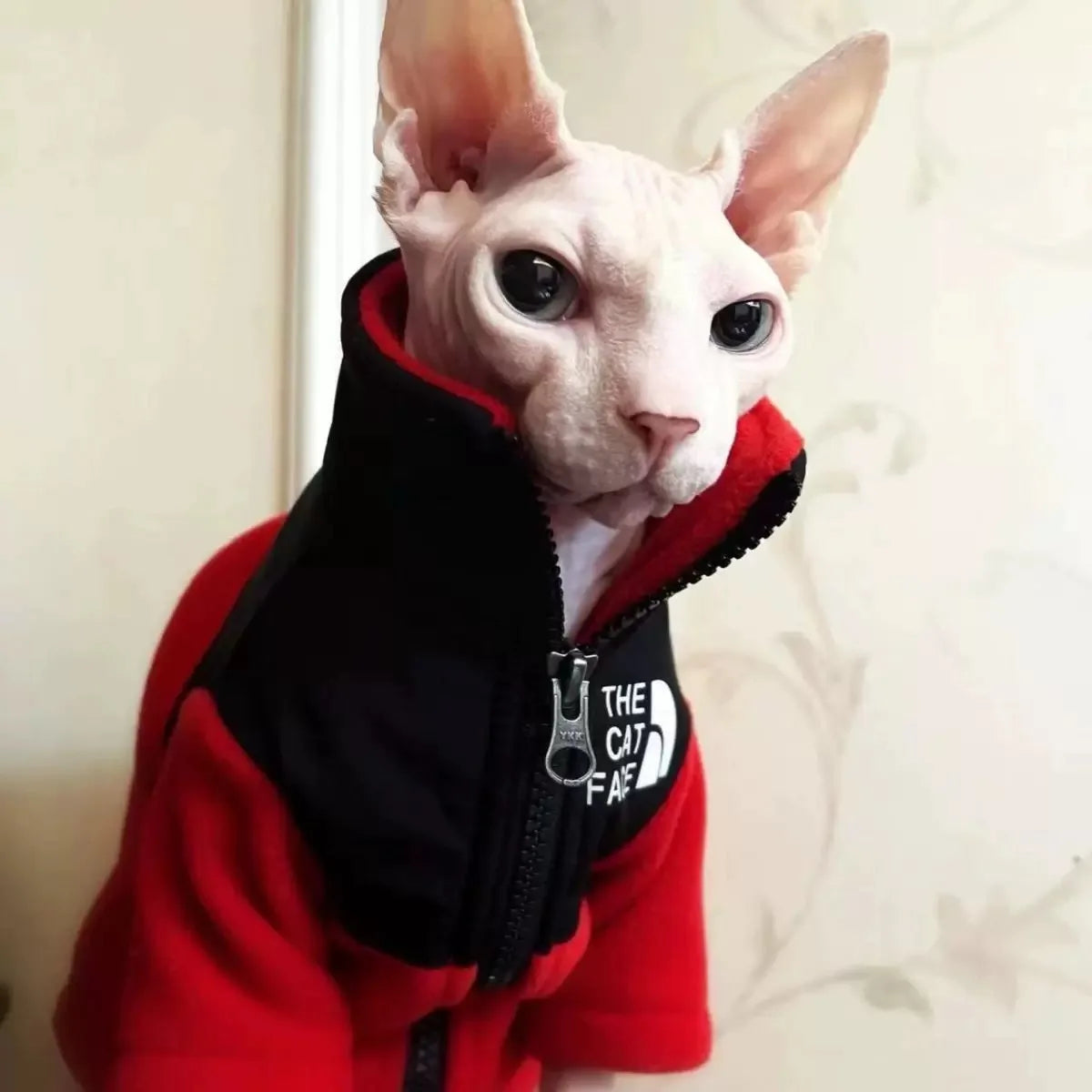 Fashion Handmade Sphynx Cat Clothes Soft Kitten Cat Jacket Luxury Warm Costumes For Sphinx Devon Cat ropa para gato