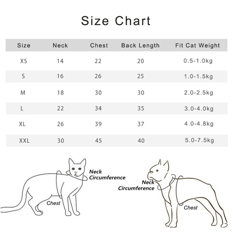 Fashion Handmade Sphynx Cat Clothes Soft Kitten Cat Jacket Luxury Warm Costumes For Sphinx Devon Cat ropa para gato