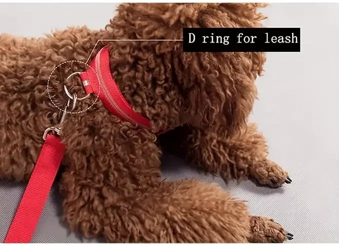 LED Safety Collar For Small And Medium Dogs - Adjustable, Flashing Glow For Night Walking