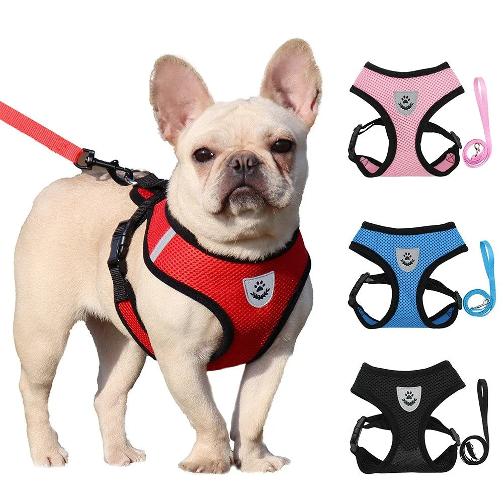 Adjustable summer cat dog harness shown on French Bulldog with various colors and reflective design.