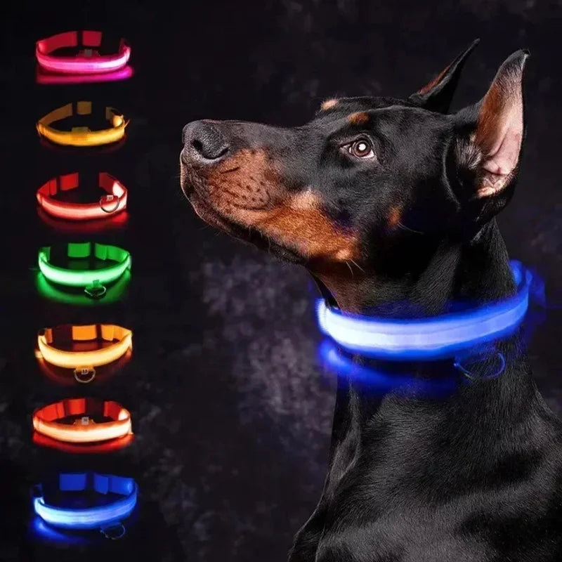 Dog Collar With LED Glowing Adjustable Flashing Rechargea Luminous Collar Night Anti-Lost Dog Light Harness for Small Dog
