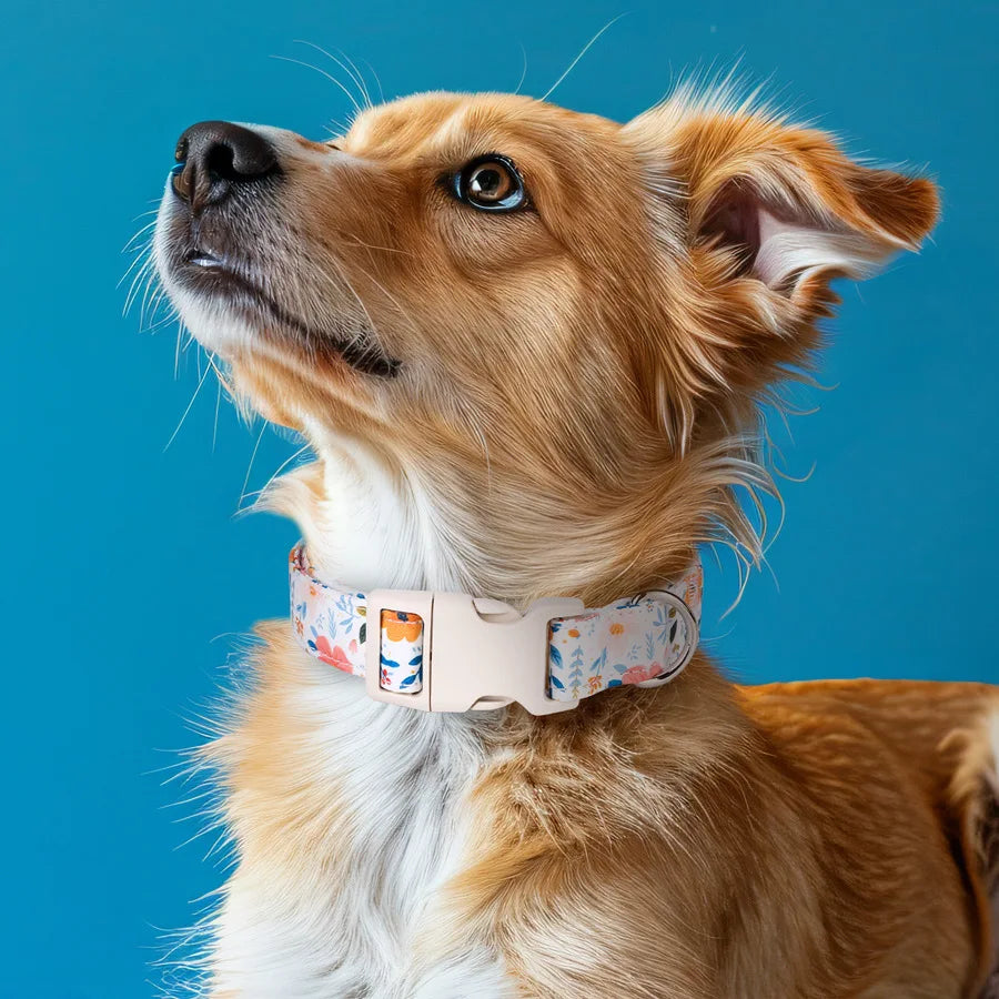 100% True Cotton Fabric Pet Collar Adjustable Safety Cotton Collar For Dog Cat Puppy Kitten Pet Accessories